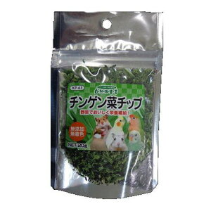 Rh錾 `Q؃`bv 20g ybgt[h