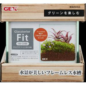 GEX(WFbNX) OXeA tBbg100CUBE