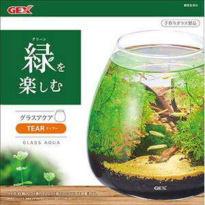 GEX(WFbNX) OXANAeBA[