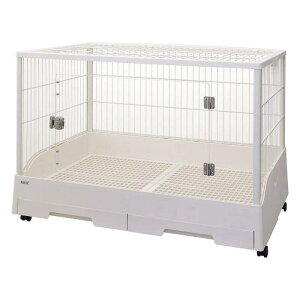 y[݌ɕiz GEX(WFbNX) NAtg80