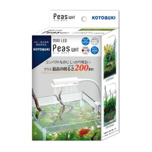 RguL ~jLED s[XzCg H|