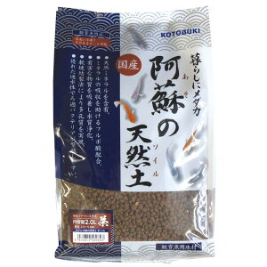 H| Ϗ܋ _J h̓VRy  2.0L