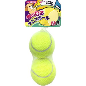 X[p[Lbg ̂ȂejX{[M 2 TN-17