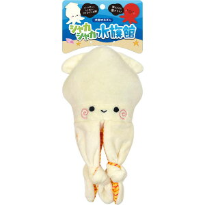 X[p[Lbg VJVJ CJ SY[11