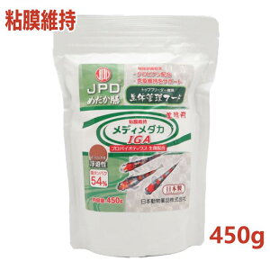 y[݌ɕiz {i j`hE ߂V Ɩp fB_J IGA 450g Sێ V