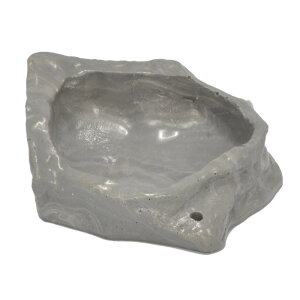 �O�W���� �T���R�[ �钎�̃G�T�M