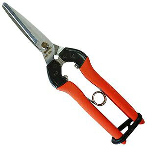 T{e Ռz p NoDAG|10L