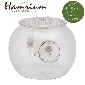 y[݌ɕiznX^[P[W nE nX^[̎Zbg 360°悭 V[X NAdl nX^[ hM[} ~jAj}