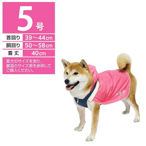 hM[} WA[oS5PK×NV  ߗ 5sN×lCr[