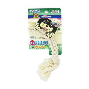 hM[} n~KLRbg XeBbN Mini