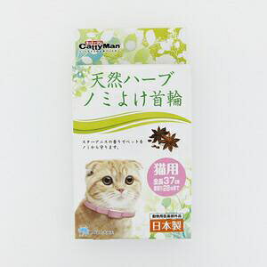 hM[}nV hM[} VRn[um~悯 Lp