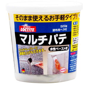 bN^Cg }`pe y[Xg O[ 500g wPWp (DHM-500)