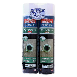 bN^Cg AE^ O[tH[ 570g 2{ wPWp (DGB-572)