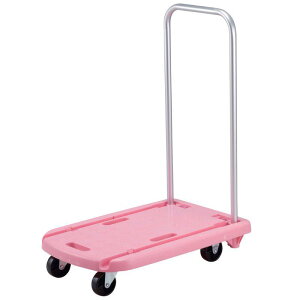 LveX^bO 炭炭yʃt@~[J[g(sN) D-2790