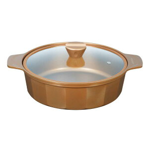 p[ VISIONS GOLD Coating IHΉ28cm CP-8806