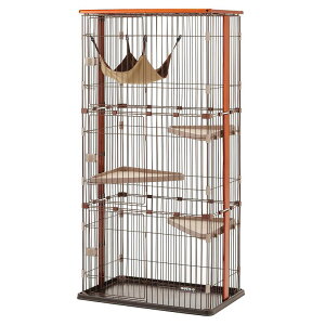 {rAR EbhT[NLbg 3i^Cv