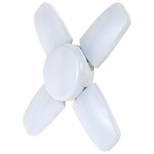 SK11 LED[tCg2 50W SLL-50W-ACN ( dH ƁExEhƓ Eւ Y )