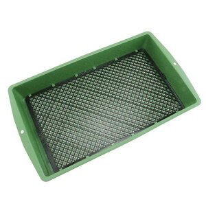 g vӂ邢BIG 4mm/10mm ( tC Y )