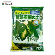 【即納在庫品】 花ごころ 観葉植物の土12L ガーデニング用品 園芸用品 培養土 バーク堆肥 マグネシウム配…