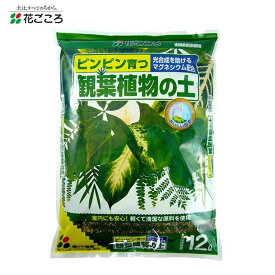 【即納在庫品】 花ごころ 観葉植物の土12L ガーデニング用品 園芸用品 培養土 バーク堆肥 マグネシウム配合 初心者向け 軽い
