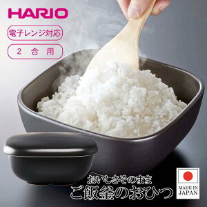 y[݌ɕiz nI ъ̂Ђ GO-2-B-W 2p dqWΉ p^ Ђ ͂ ݌Ï { HARIO  (E)