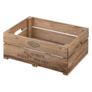 [{bNX X^bLO ؐ W50×D37×H20 uE {bNX n[t LFS-475 J azumaya