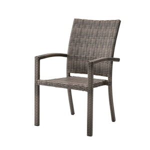 `FA K[f GNXeA eXAEghA i W58×D63×H93 uENRS-430C J azumaya `FÂ