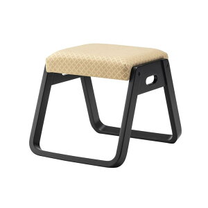 Xc[i W38×D46×H36 IW X^bLOXc[ BC-110FOR J azumaya