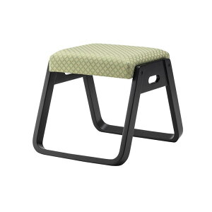 Xc[i W38×D46×H36 O[ X^bLOXc[ BC-110FYE J azumaya