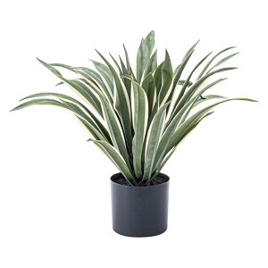 tFCNO[ AKx W63×D63×H50 O[ tFCNO[ ϗtA lHϗtA  CeA GRN-13 J azumaya