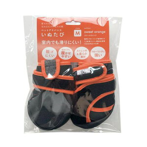 ybgAhoX ʂ  XC[gIWM p̌C sJR[|CV