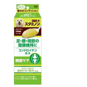 A[Xybg `CXvX X^~m֐߃PA40g