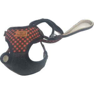 GufC `FbND֕t[h2S  A[XEybg