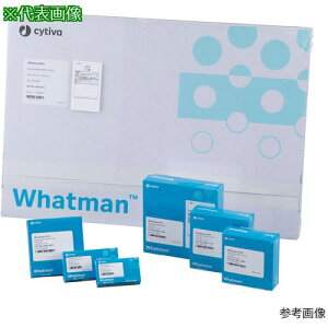 ��AS �K���X�@�ۉ~�`�h��GF/B 2.4cm�k�i��:233002�l�y1000758:0�z[�����ʓr���ς�][�f�O���][�X�����s��]