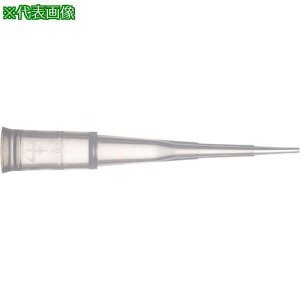 AS _CAh`bv DL10Vki:1685704ly1003649:0z[ʓrς][fO][Xs]