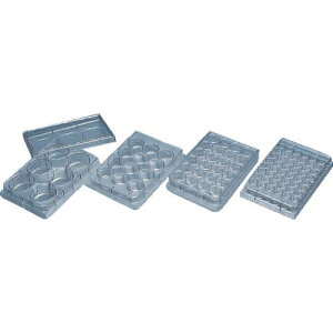 AS ZJ`[v[g 353046 (1×50=50)ki:1842501ly1003767:0z[ʓrς][fO][Xs]