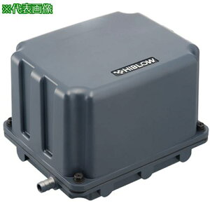 AS GA[|vKP]5030ki:2163415ly1003794:0z[ʓrς][fO][Xs]