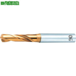 ��OSG EX�S�[���h�h���� ��ʉ��H�p�X�^�u�` �n�a11.7mm 60117�k�i��:EXGDS11.7�l�y1009206:0�z[�X�����s��]