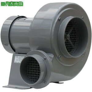 ������d�@ �d�������@ �V���b�R�^ CN�V���[�Y(���ʋr) �O��200V (0.75kW)�k�i��:CN6TLE�l�y1024465:0�z[�����ʓr���ς�][�@�l�E���Ə�����][����][�X�����s��]