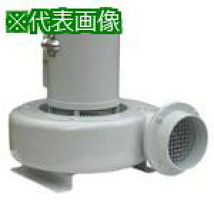 ������d�@ �d�������@ �t�z���^ Z�V���[�Y �P��100V (0.125kW)�k�i��:Z2.5L�l�y1024693:0�z[�����ʓr���ς�][�@�l�E���Ə�����][�O����][�X�����s��]