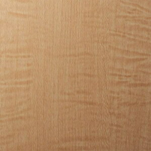 3M _CmbNtB WG-833 1220mmX50mki:WG833ly1043931:0z[ʓrς][fO][Xs]