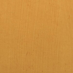 3M _CmbNtB WG-831 1220mmX50mki:WG831ly1043934:0z[ʓrς][fO][Xs]