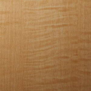 3M _CmbNtB WG-832 1220mmX50mki:WG832ly1045507:0z[ʓrς][fO][Xs]