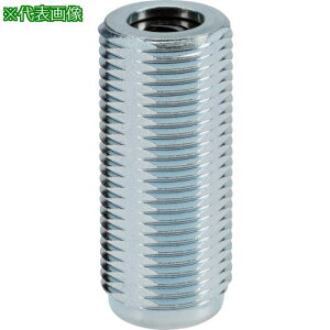 HALDER XeB[΂˕tvbV[Es {̂̂݃IlWV[ ˂aM12ki:22150.1315ly1060652:0z[ʓrς][fO][Xs]