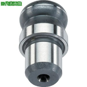 ��HALDER �ʒu���߃s�� �{�[���`(�㕔�f�ʉ~�`) �O�a16×�������16L�k�i��:22630.0316�l�y1061972:0�z[�����ʓr���ς�][�f�O���][�X�����s��]