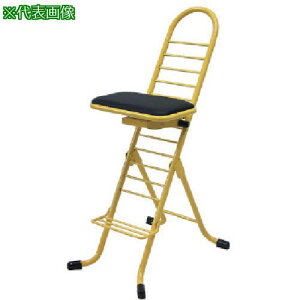 ZCR[ v[N`FA XDCO ki:PW600Sly1065637:0z[ʓrς][@lEƏ][][Xs]