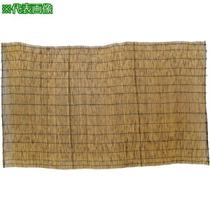 ` X[N~jVY 120X180s10tki:C415ly1099198×10:0z[ʓrς][@lEƏ][O][Xs]