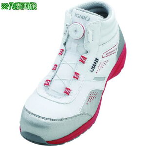 IGNIO _CZ[teBV[Y A zCg29.0cmki:IGS1058TGFWH29.0ly1099250:0z[Xs]