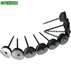 ��DAIDOHANT HP �X�e�����X �A���P�B 2.4×45 2�A(18�{)���s5Pk���t�k�i��:10185008�l�y1109391×5:0�z[�����ʓr���ς�][�f�O���][�X�����s��]