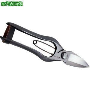 L R n(ڂ) ~ki:HT2556ly1114032:0z[ʓrς][@lEƏ][fO][Xs]